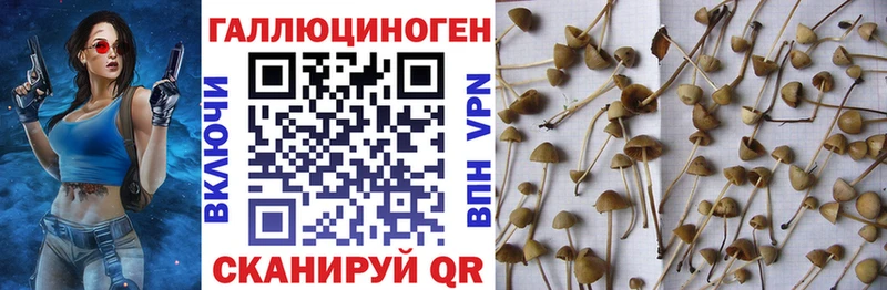 Галлюциногенные грибы ЛСД  купить  цена  Чухлома 